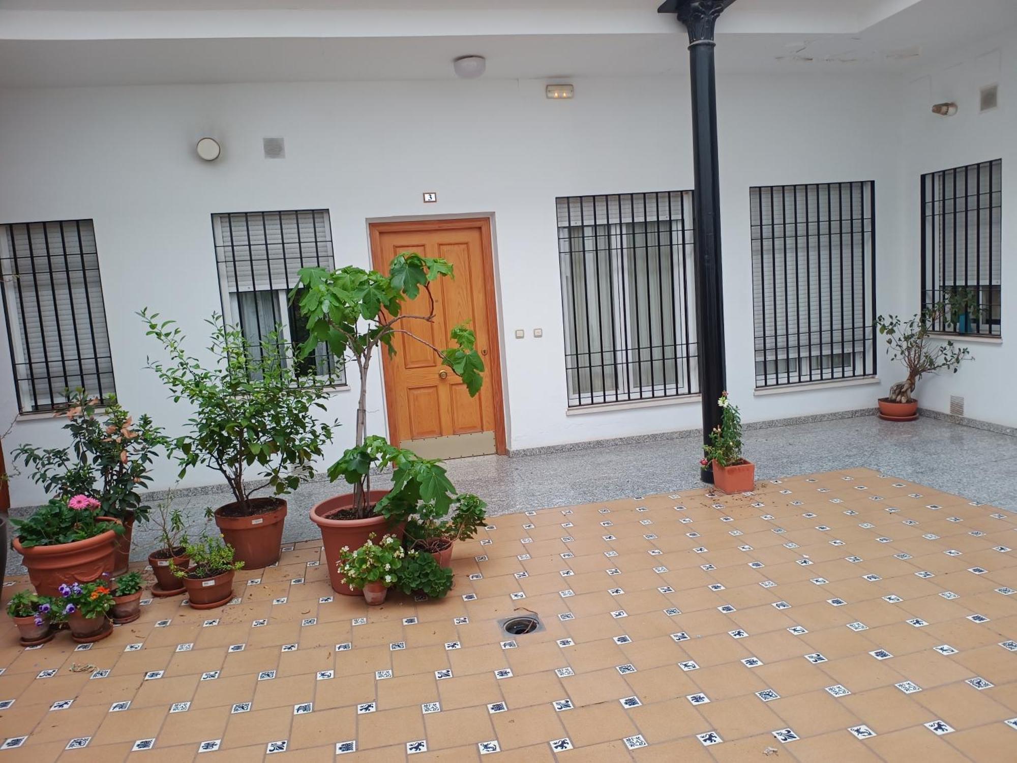 Apartament Sunshine Fernando Colon Kordoba Zewnętrze zdjęcie